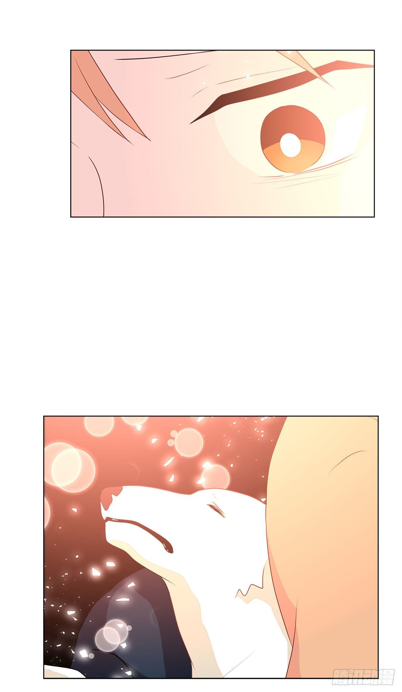 11.营救小白