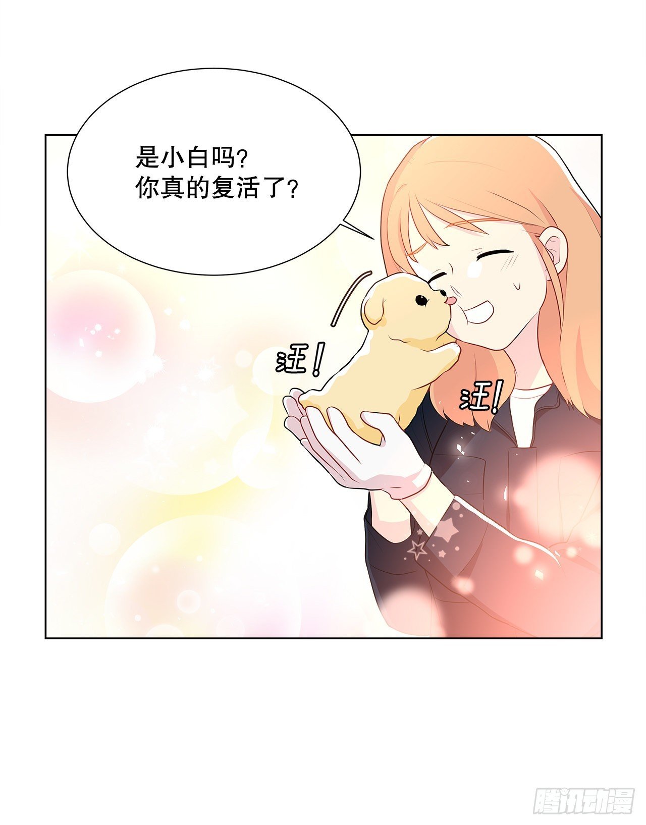 12.约见金秘书