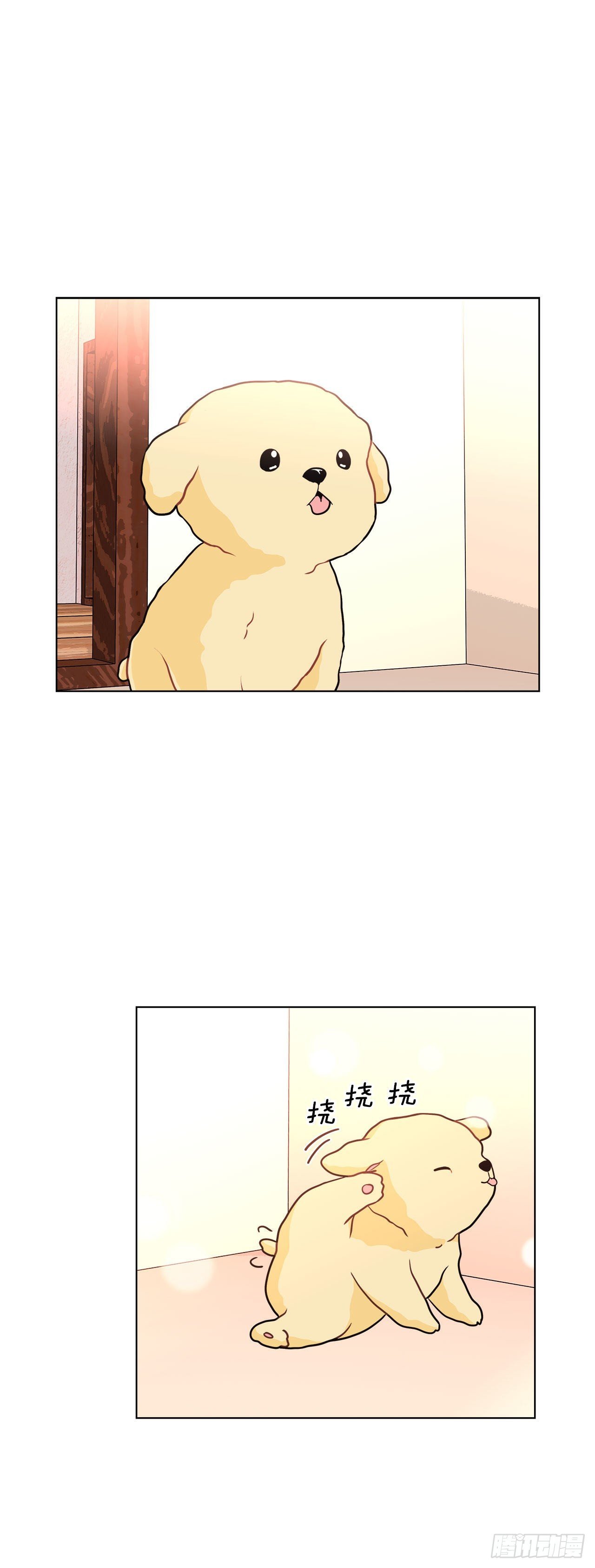 32.爱的定义