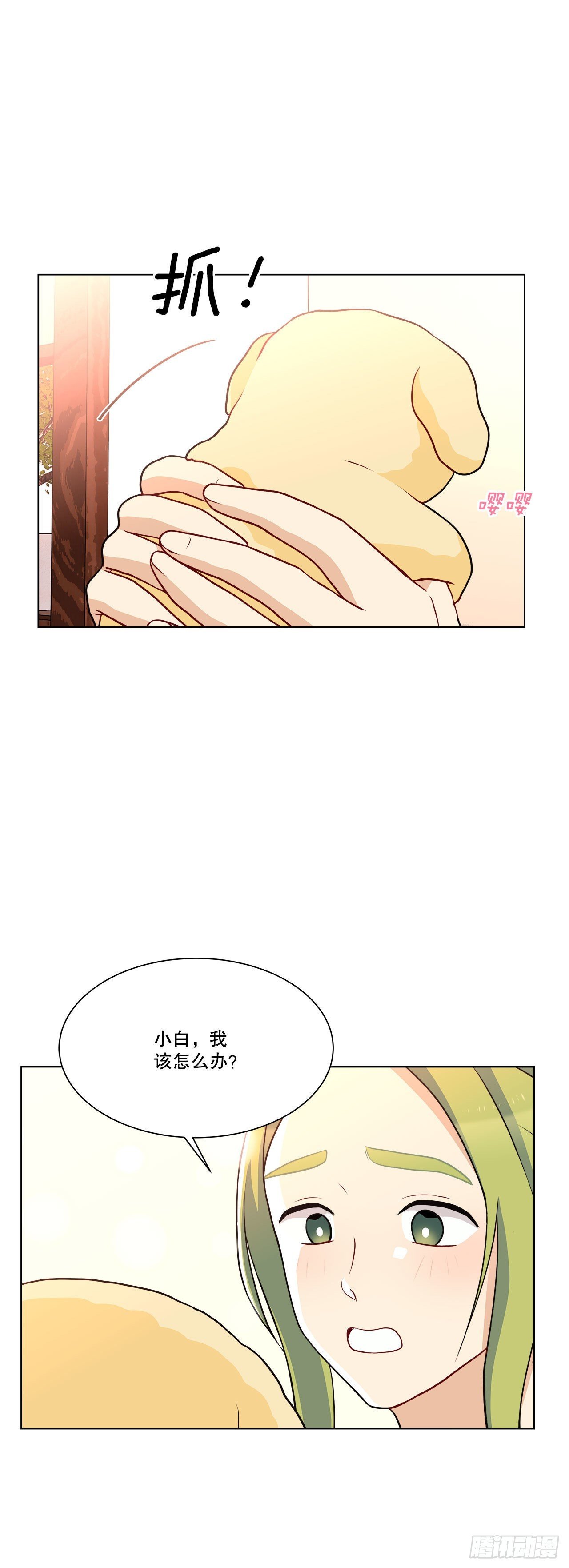 32.爱的定义