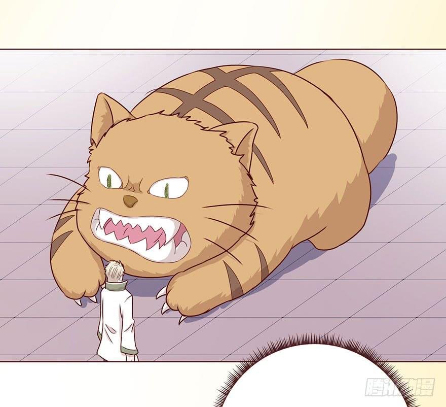 058解禁书(上)