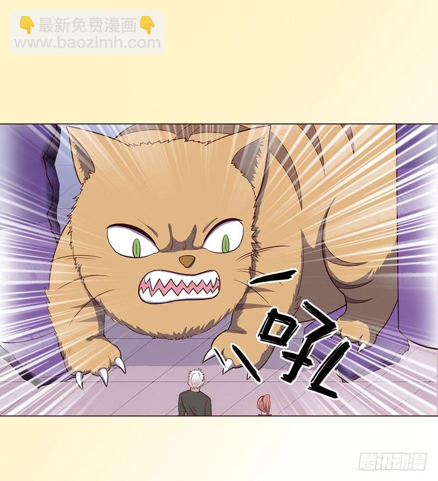 058解禁书(上)