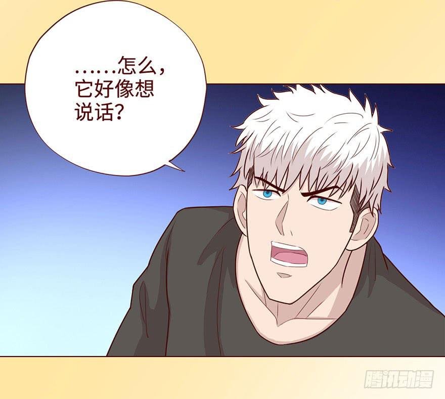 058解禁书（下）