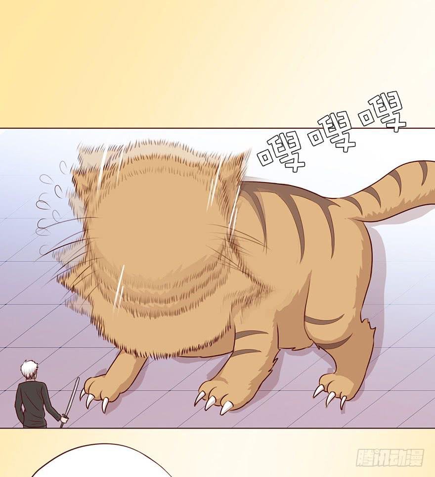 058解禁书（下）
