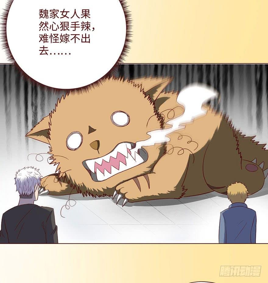 058解禁书（下）