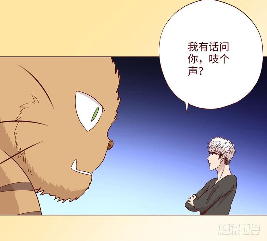 058解禁书（下）