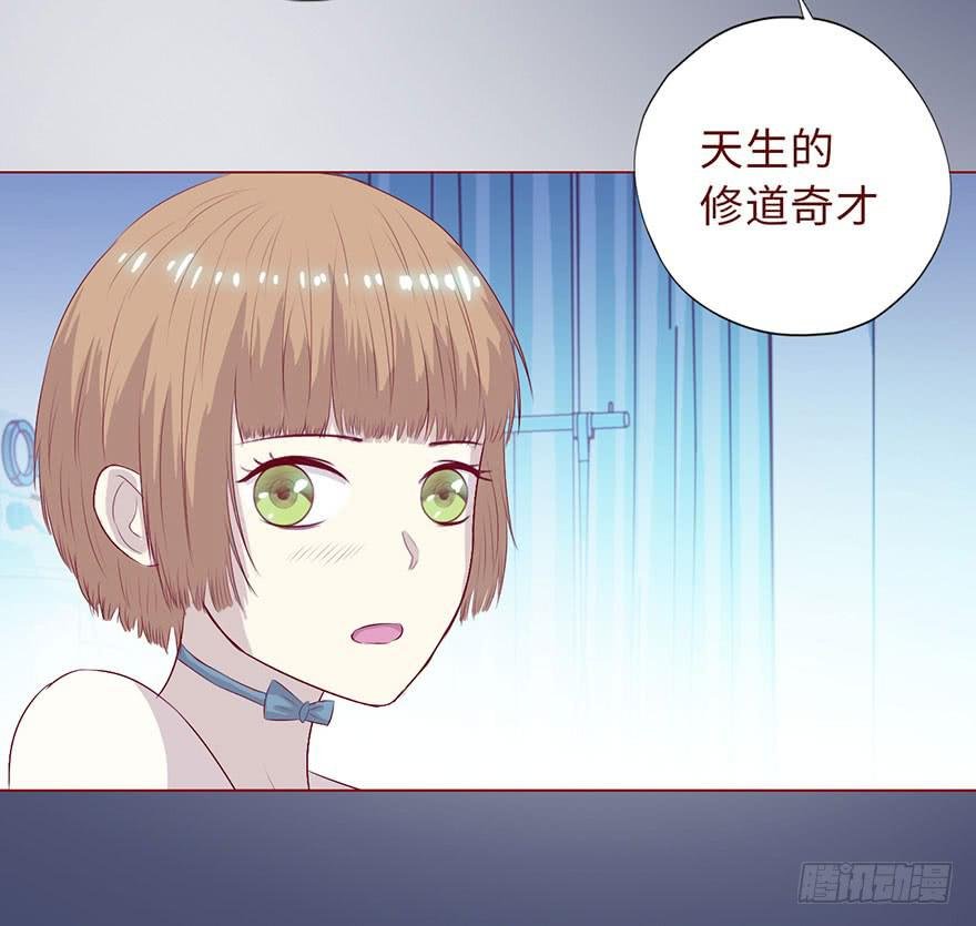 008还魂香（下）