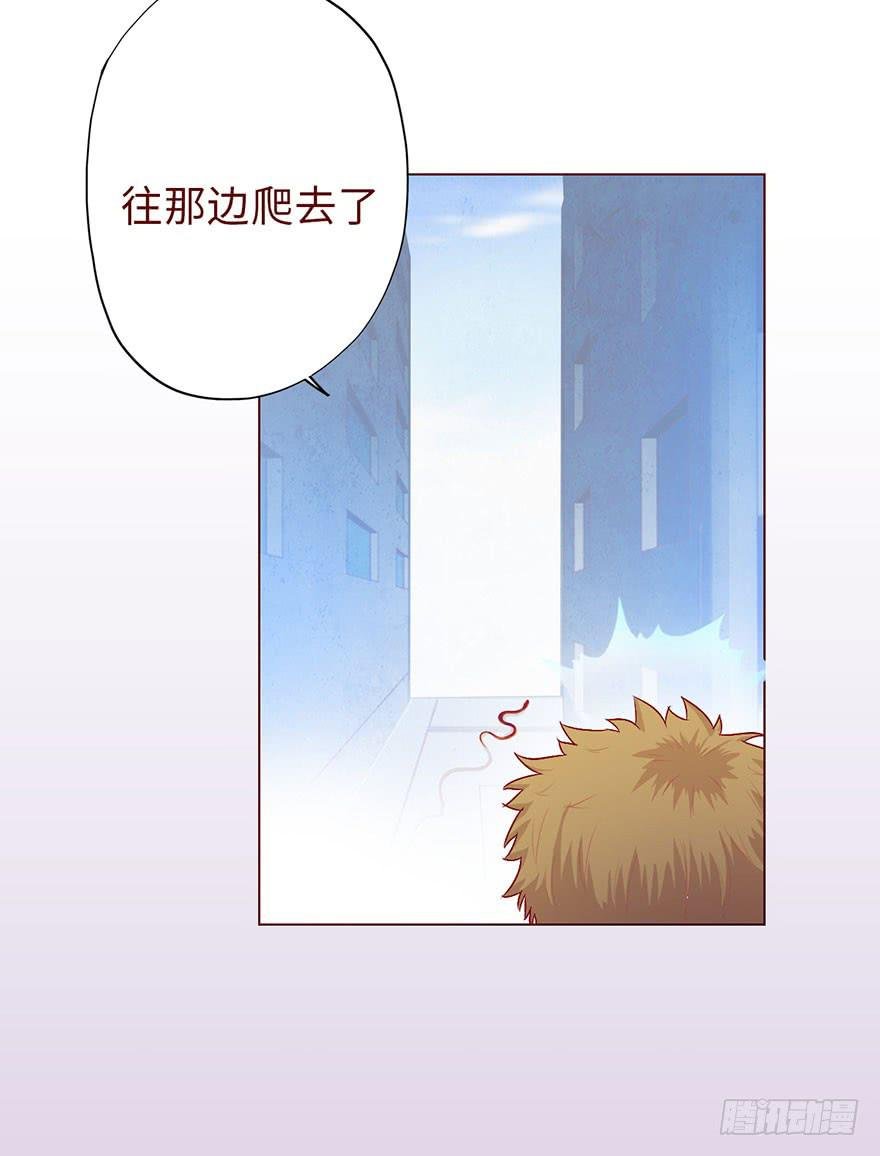 010追踪（下）