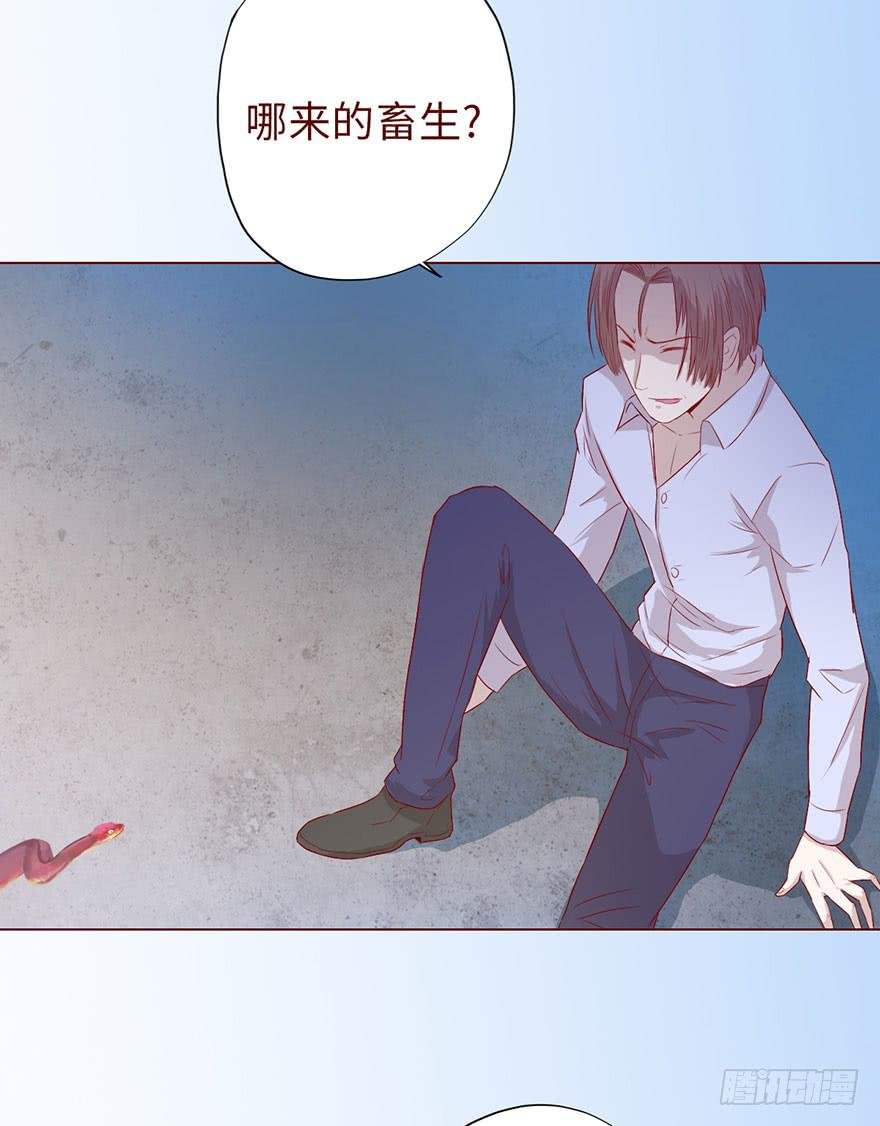 010追踪（下）
