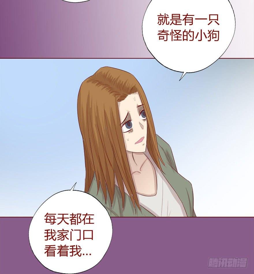 017灵宠（上）