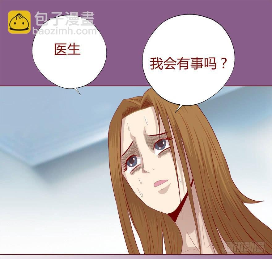 017灵宠（上）