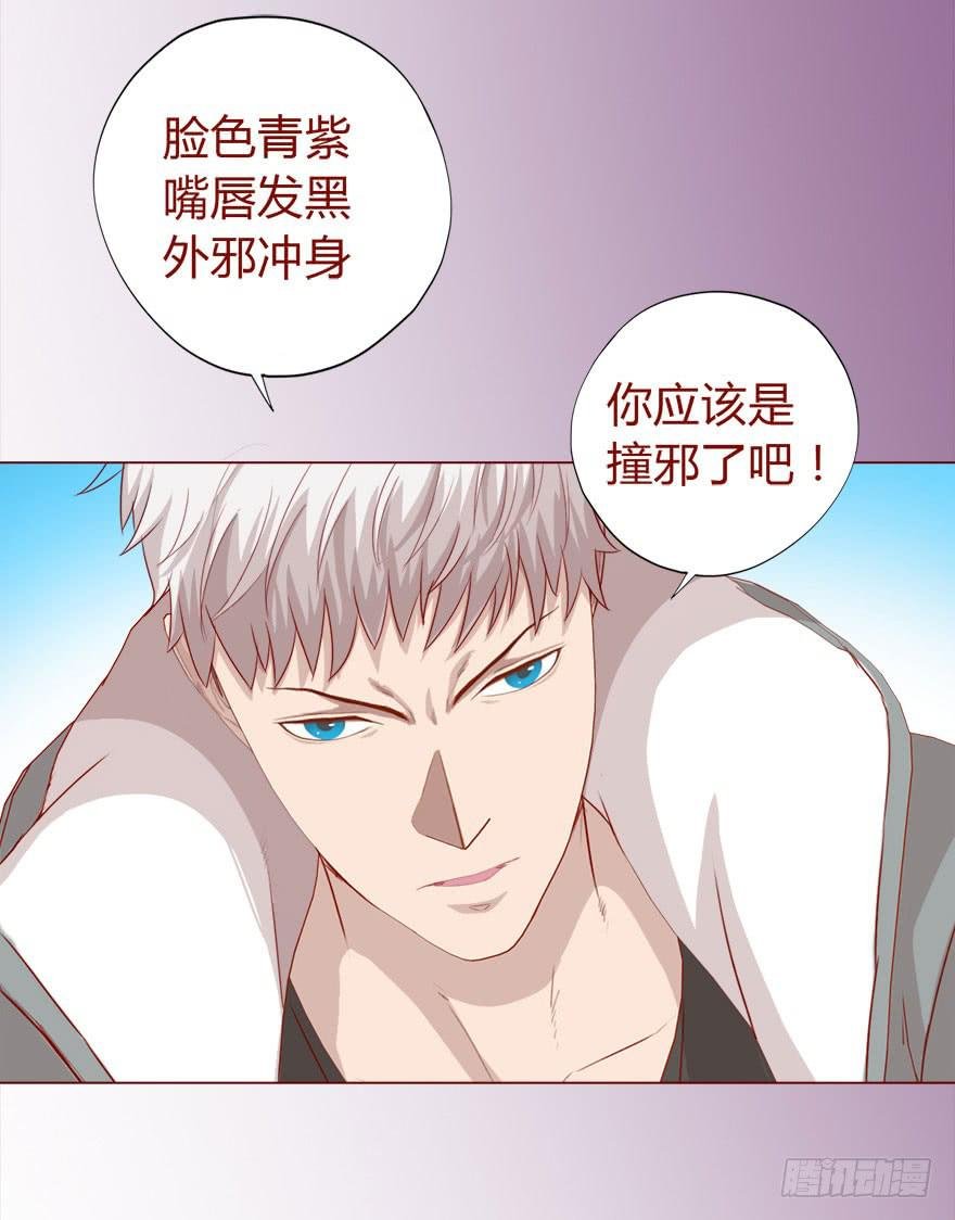 017灵宠（上）