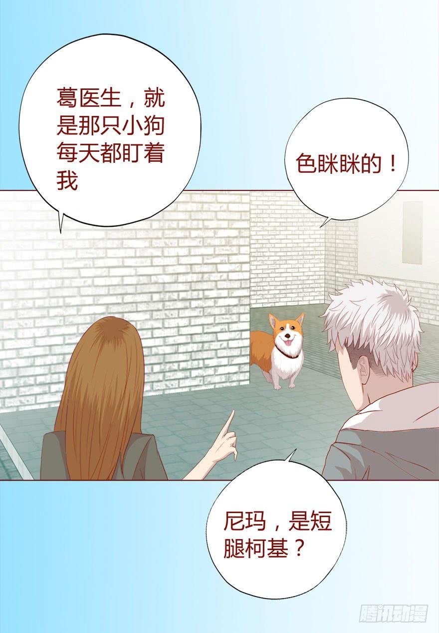 017灵宠（上）