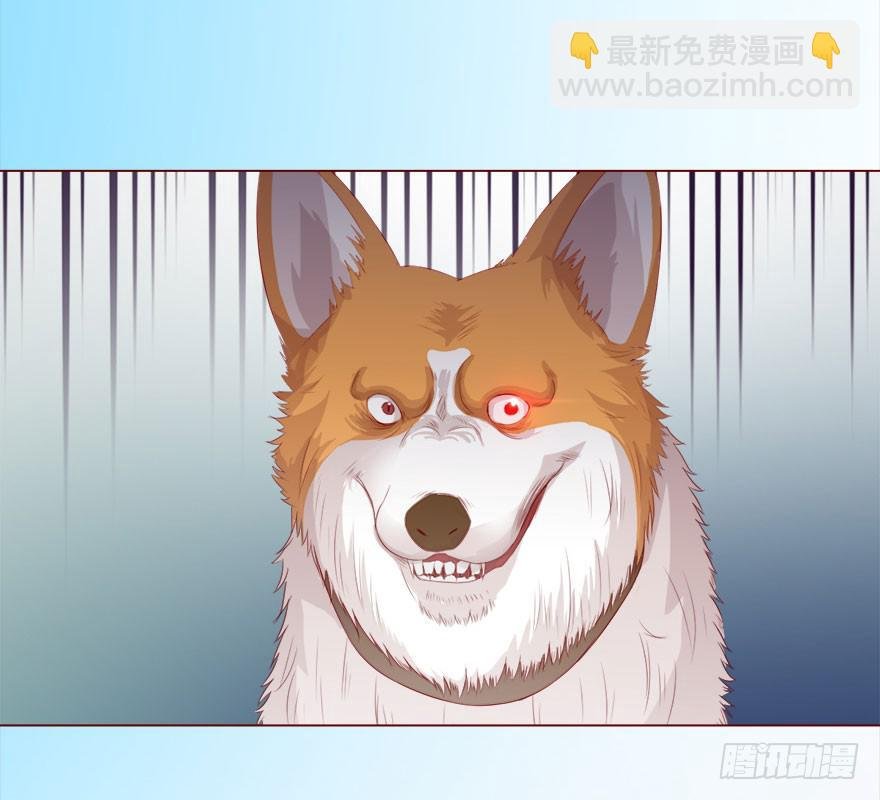 017灵宠（上）