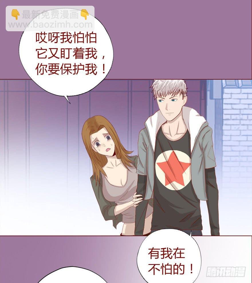017灵宠（下）