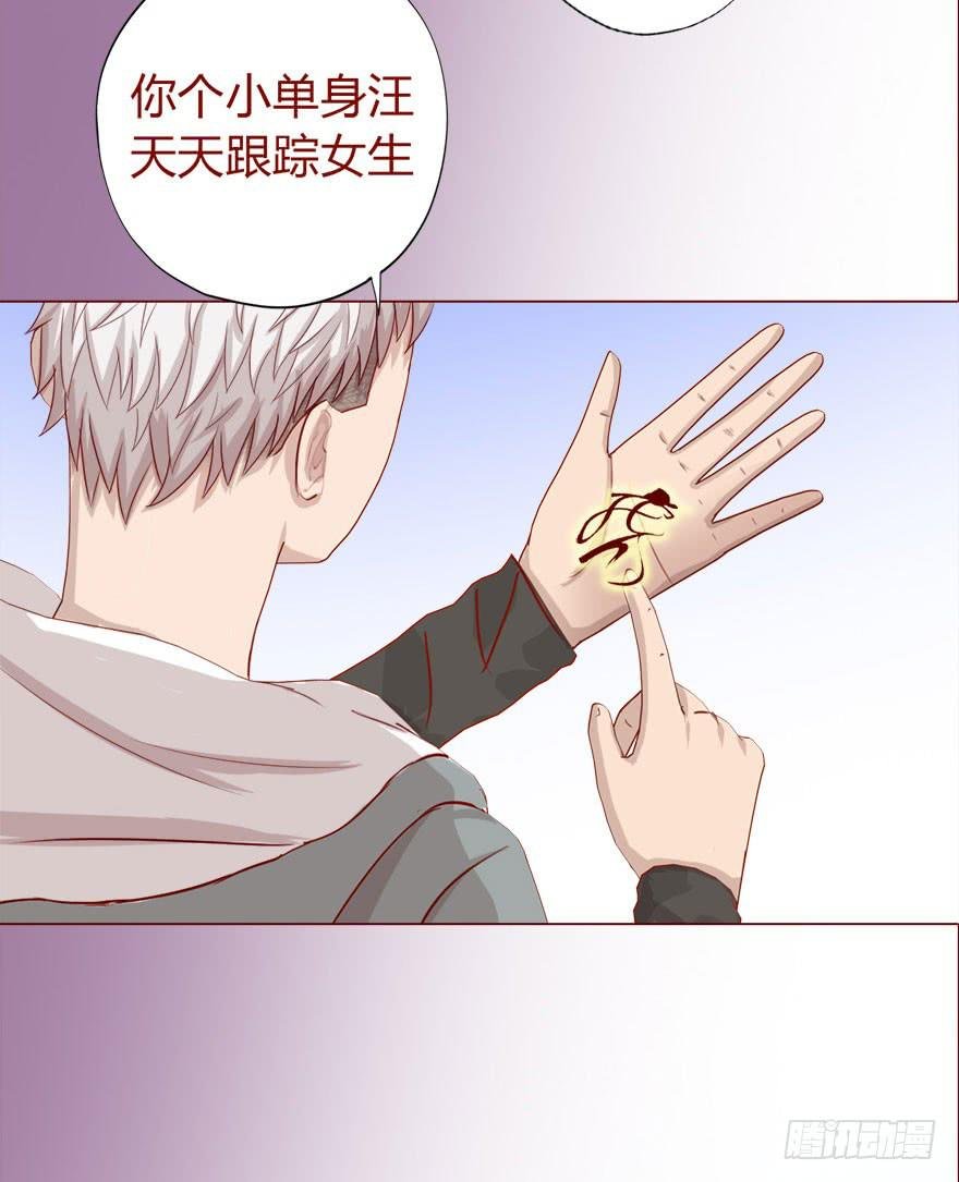017灵宠（下）