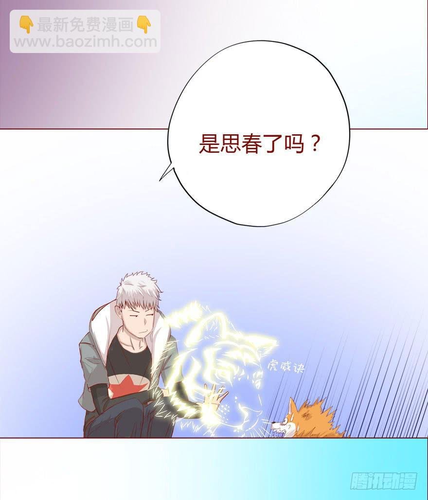 017灵宠（下）