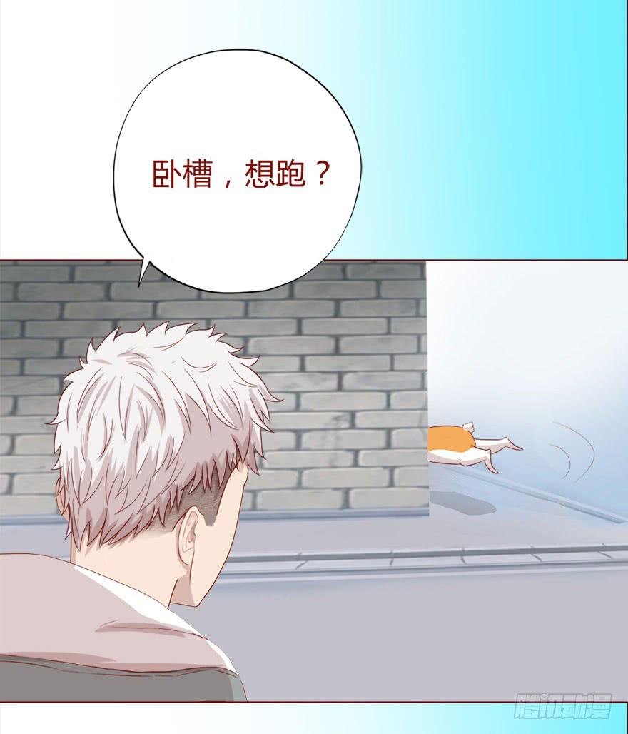 017灵宠（下）