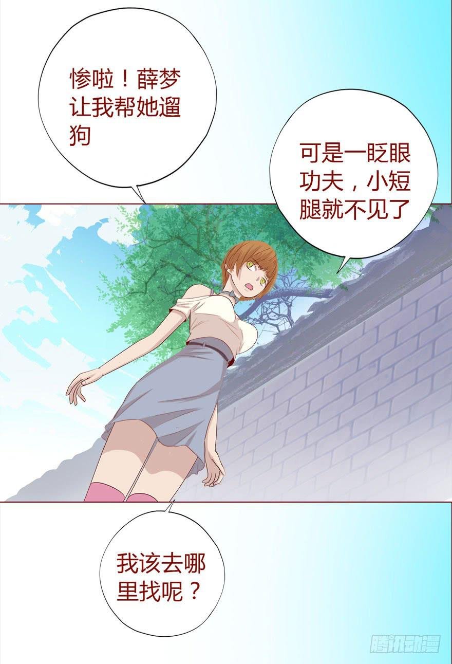 017灵宠（下）