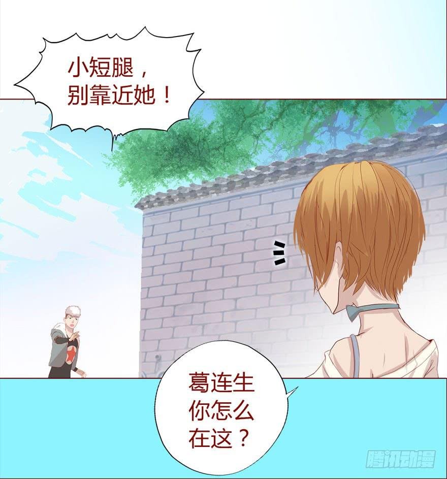 017灵宠（下）