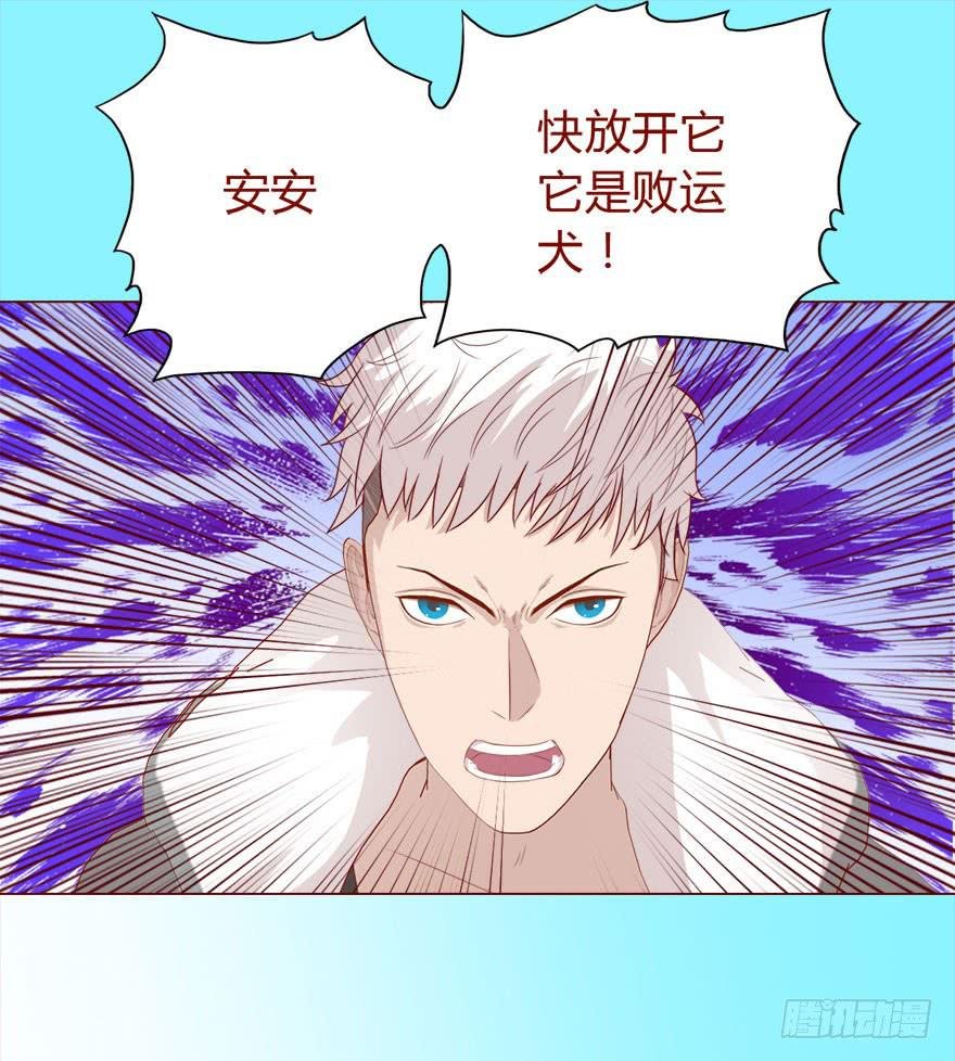 017灵宠（下）