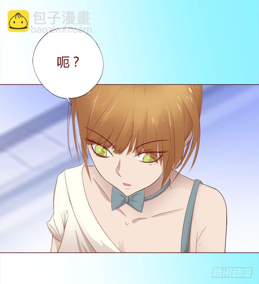 017灵宠（下）