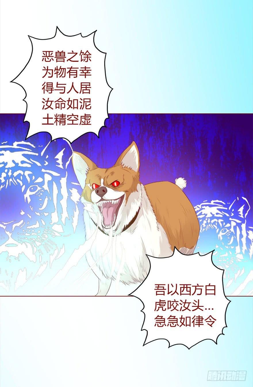 017灵宠（下）