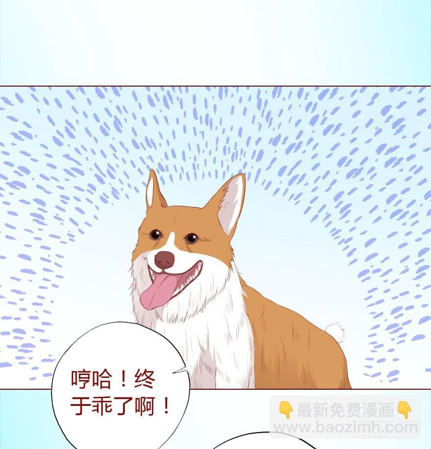 017灵宠（下）