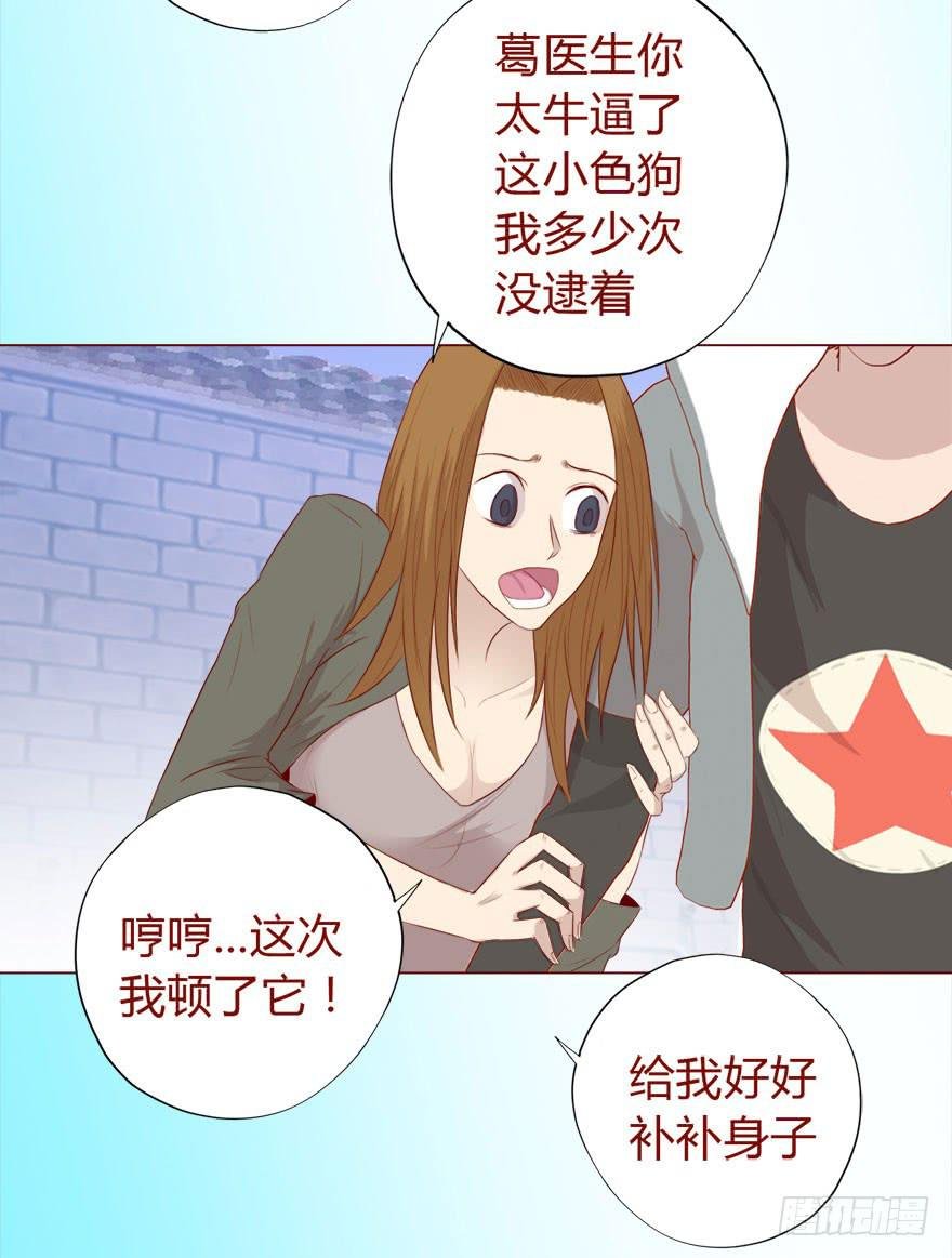 017灵宠（下）