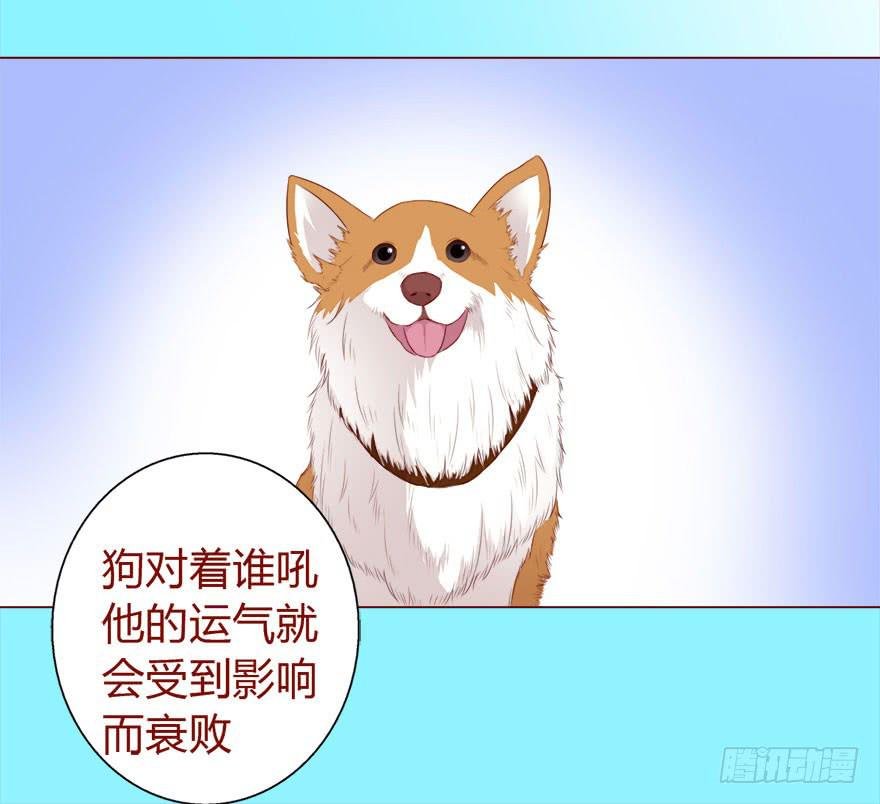 017灵宠（下）
