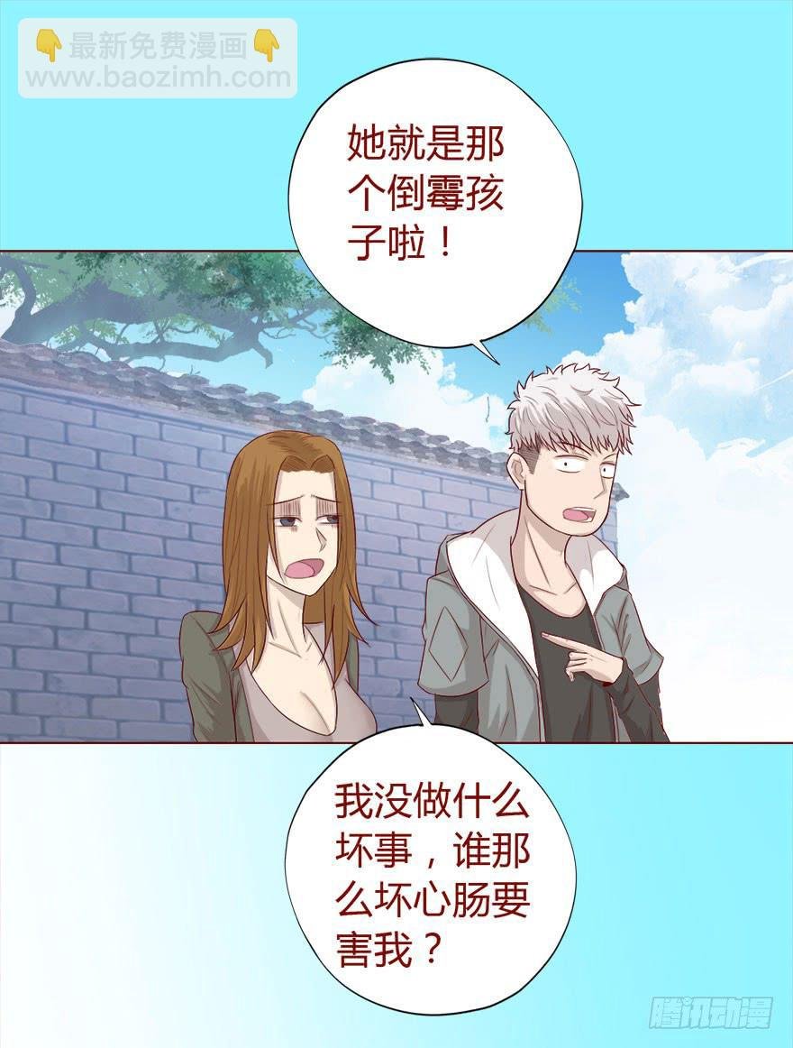017灵宠（下）