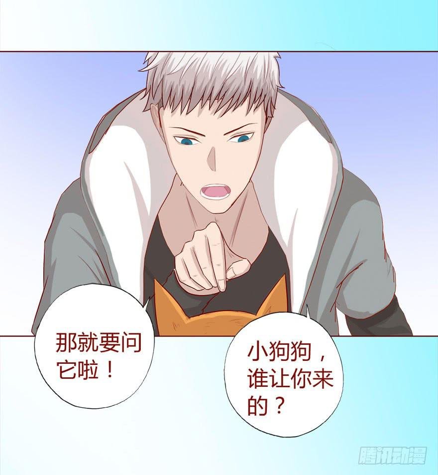 017灵宠（下）