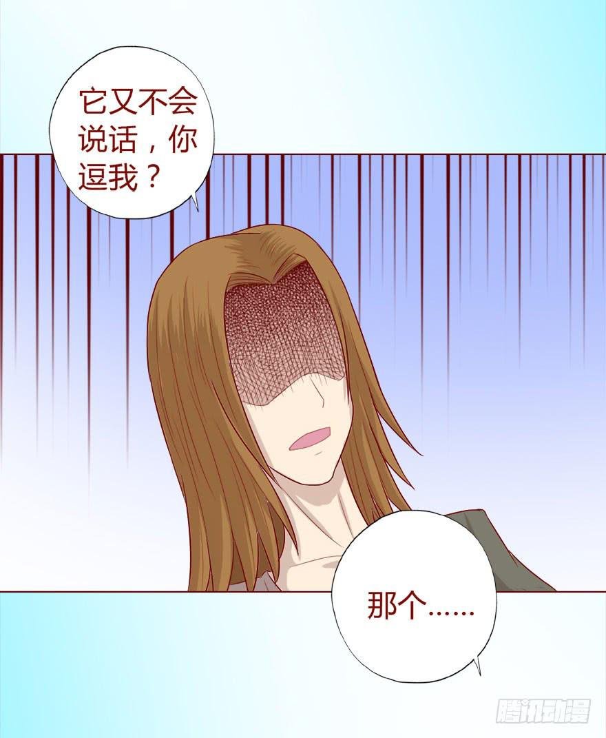 017灵宠（下）