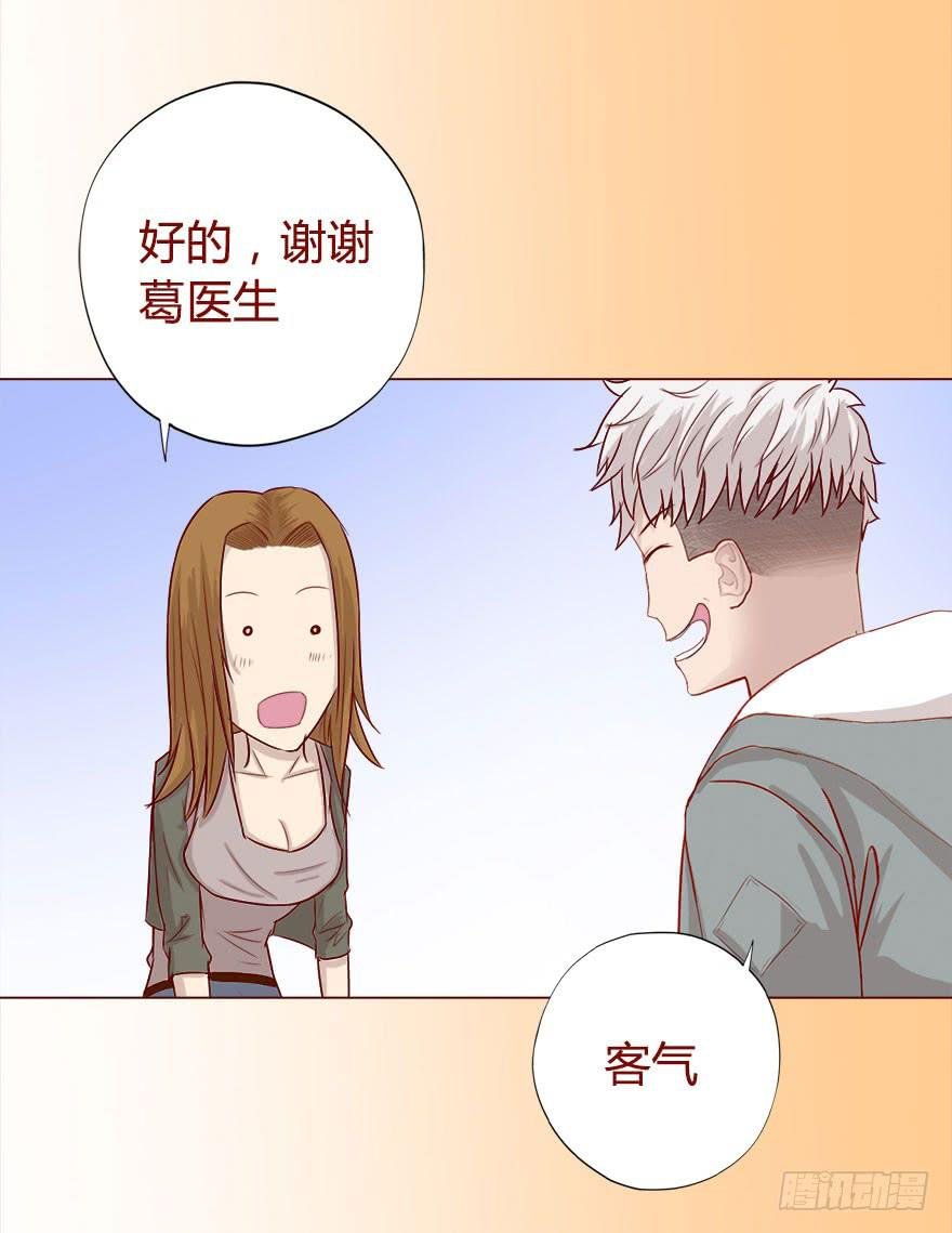 017灵宠（下）