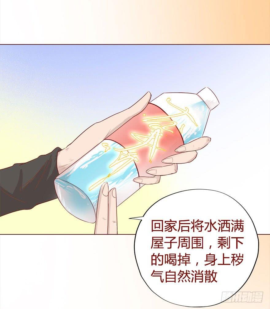 017灵宠（下）