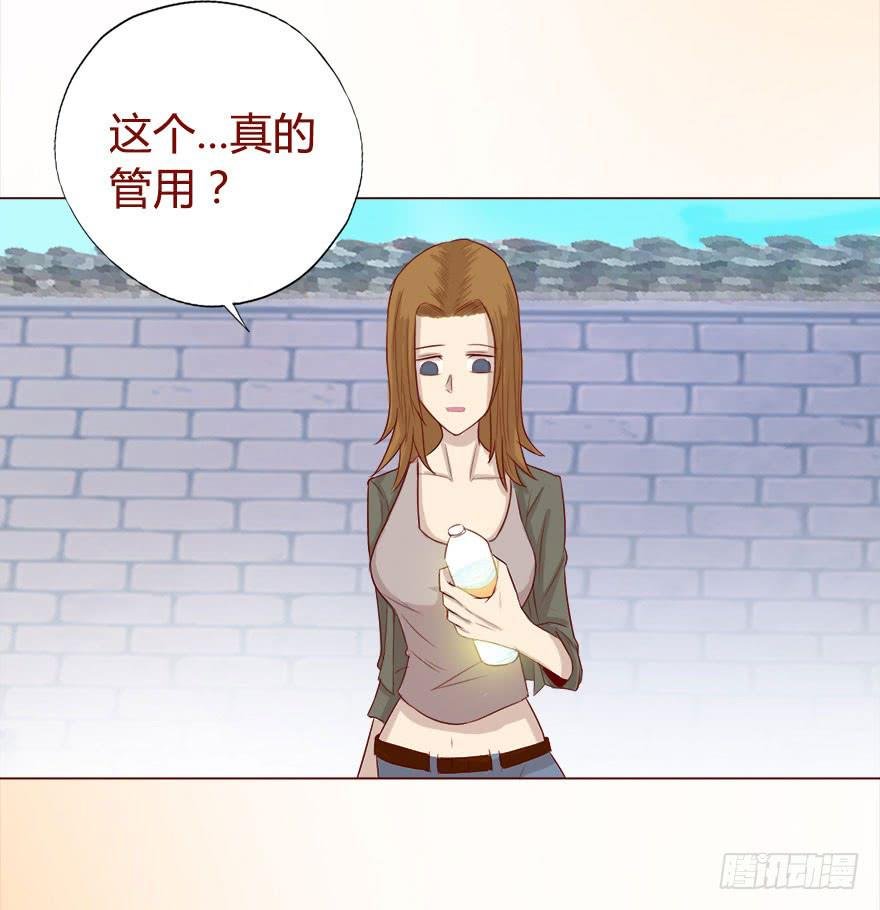 017灵宠（下）