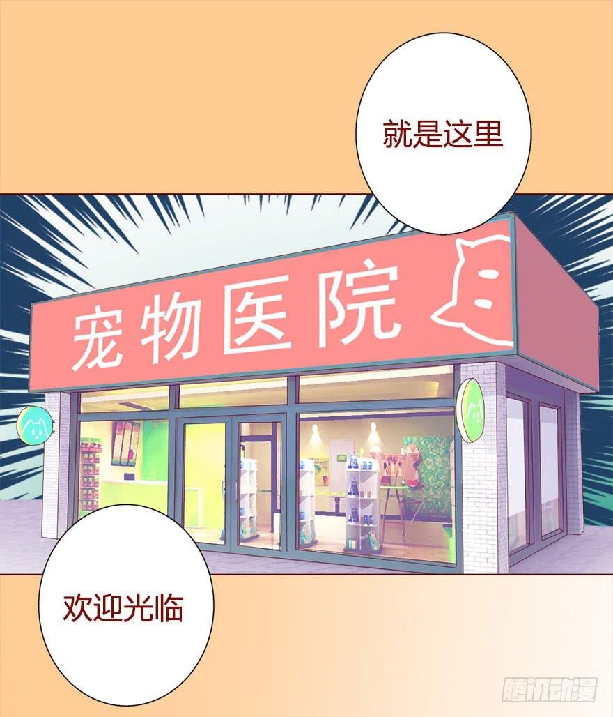 017灵宠（下）