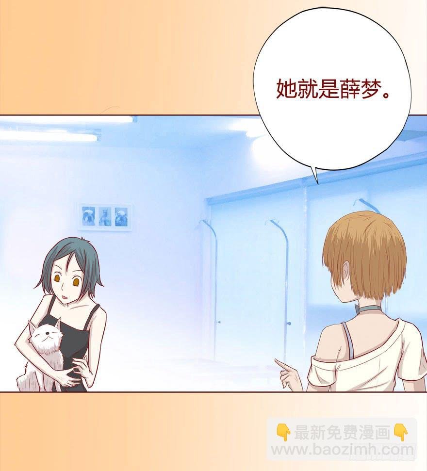 017灵宠（下）