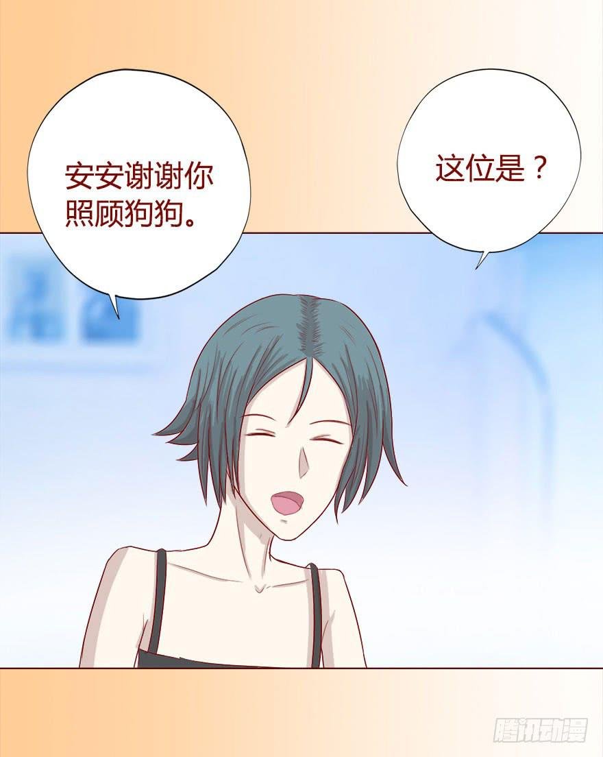 017灵宠（下）