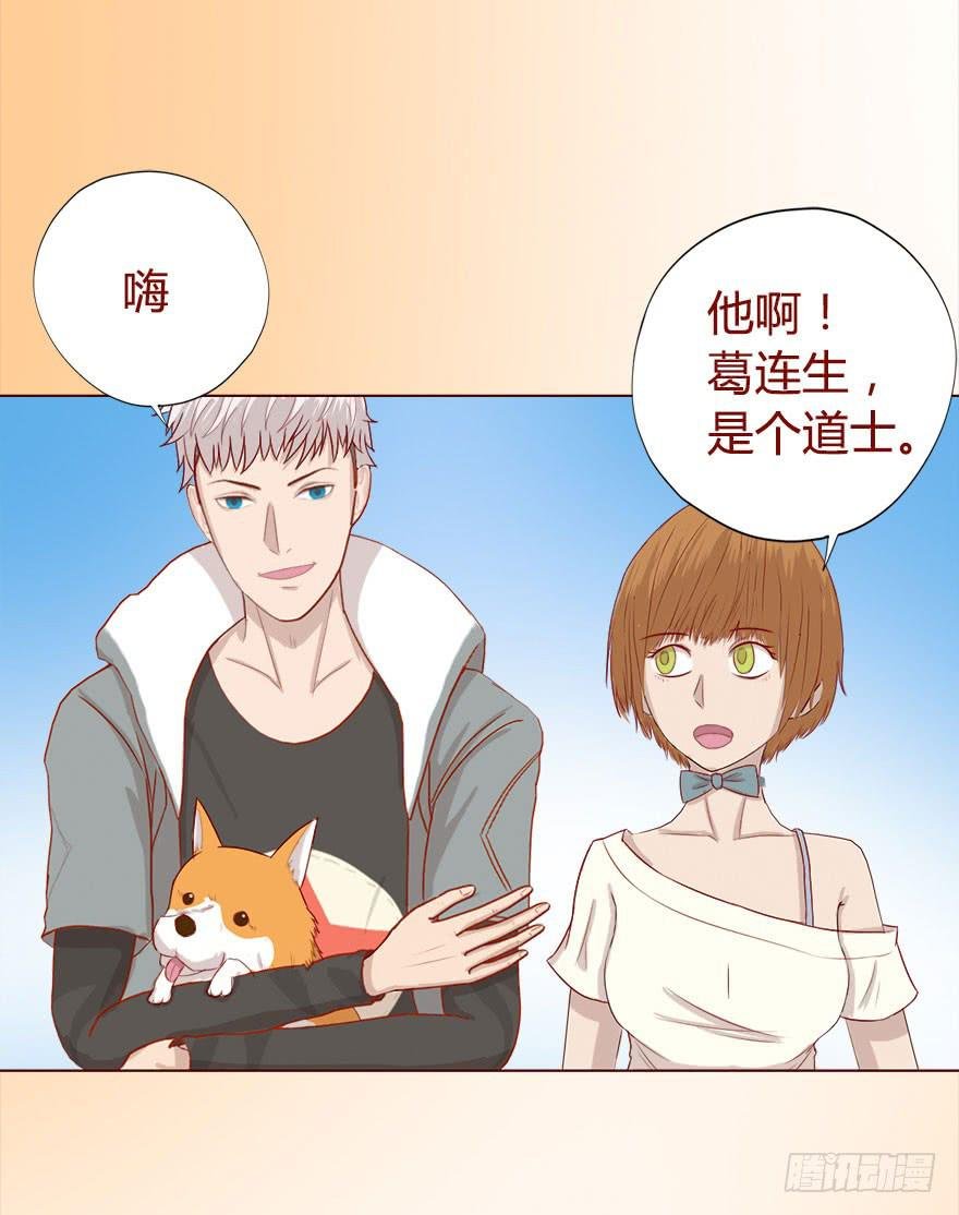 017灵宠（下）