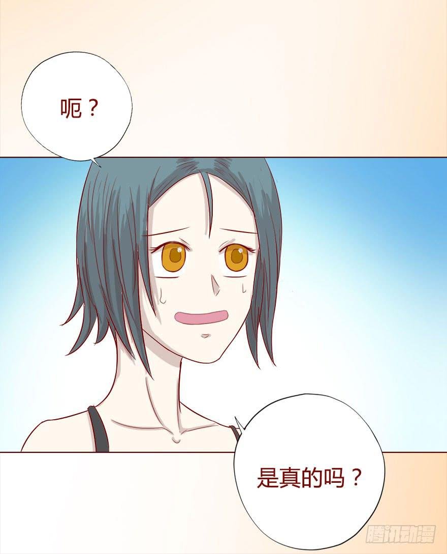 017灵宠（下）