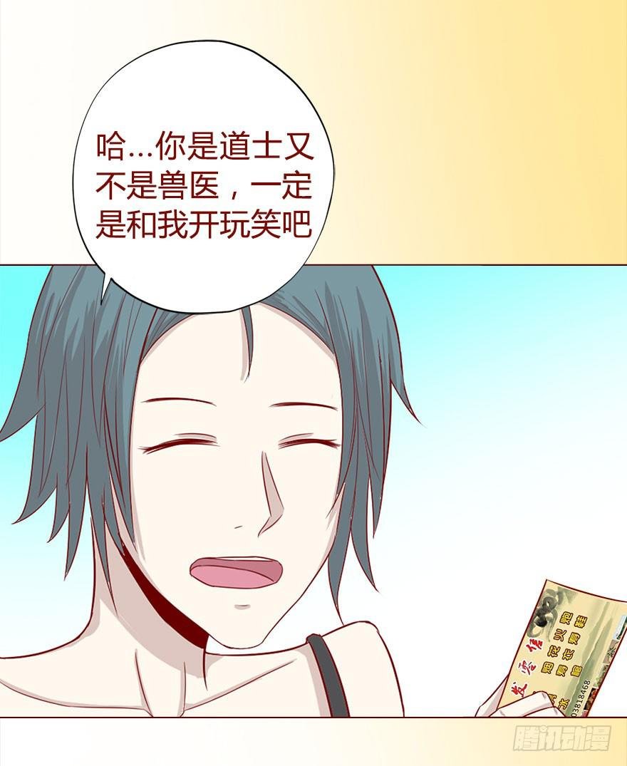 017灵宠（下）