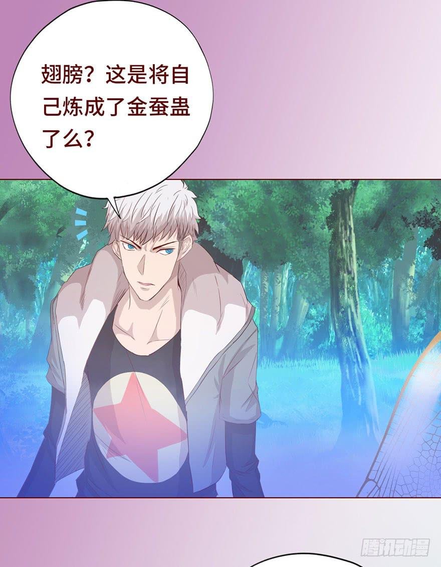 027金蚕童子（上）