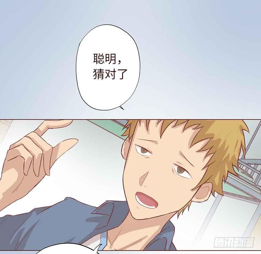 004林安安