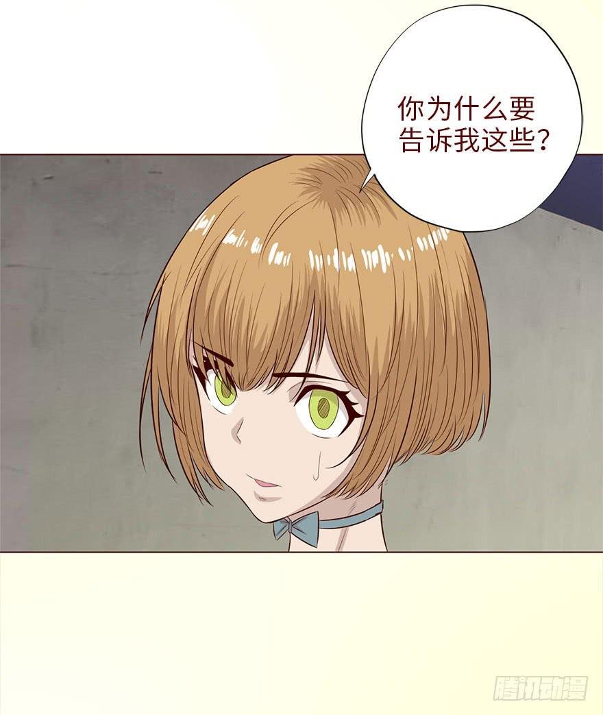 040真相（上）