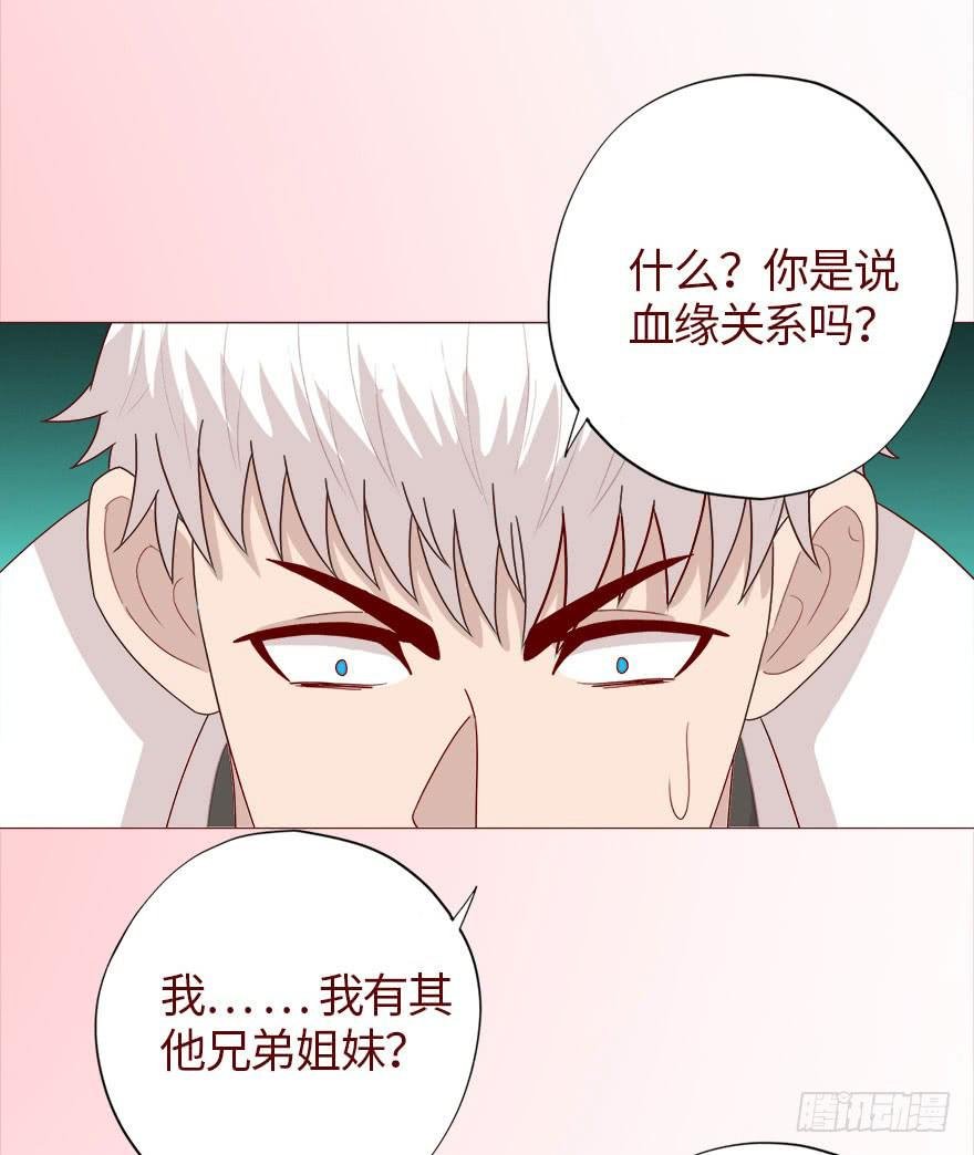 040真相（下）