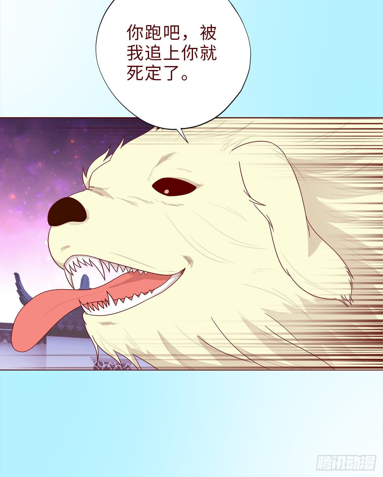 041玄界遭遇（上）