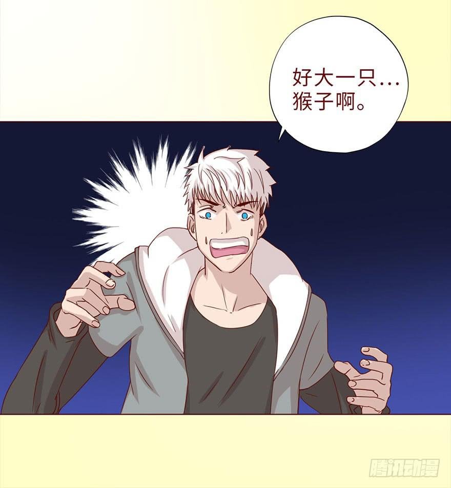 044骗局（上）