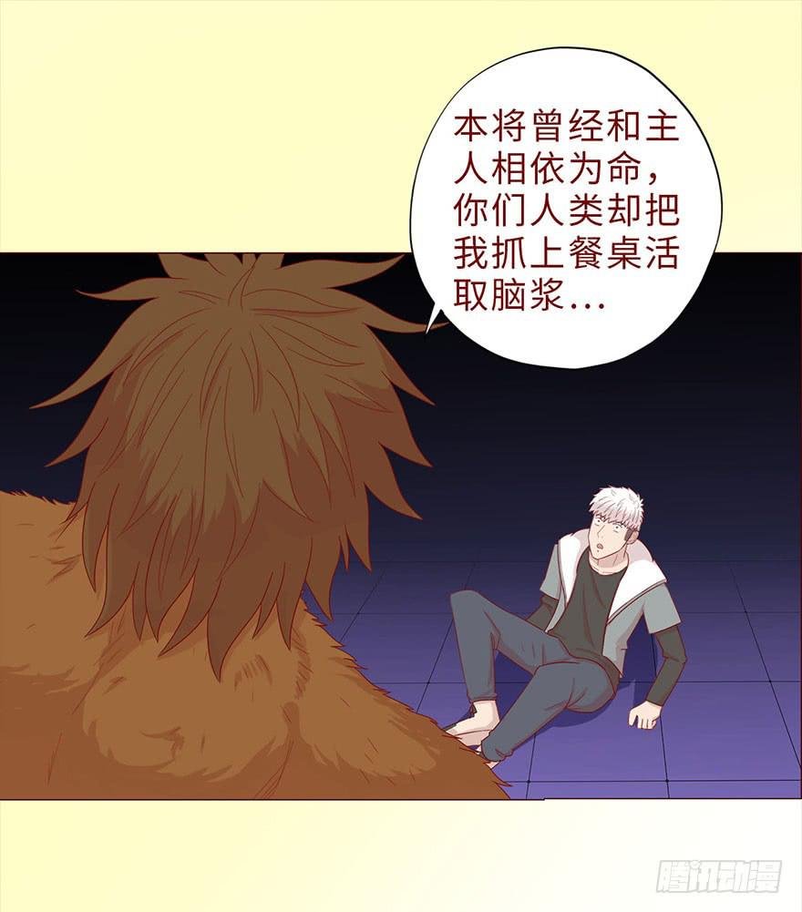 044骗局（上）
