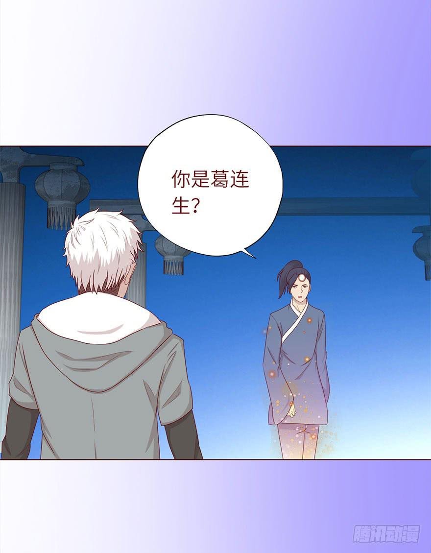 049葛玄（上）